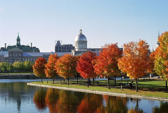 800px-Marché_Bonsecours_and_Foliage